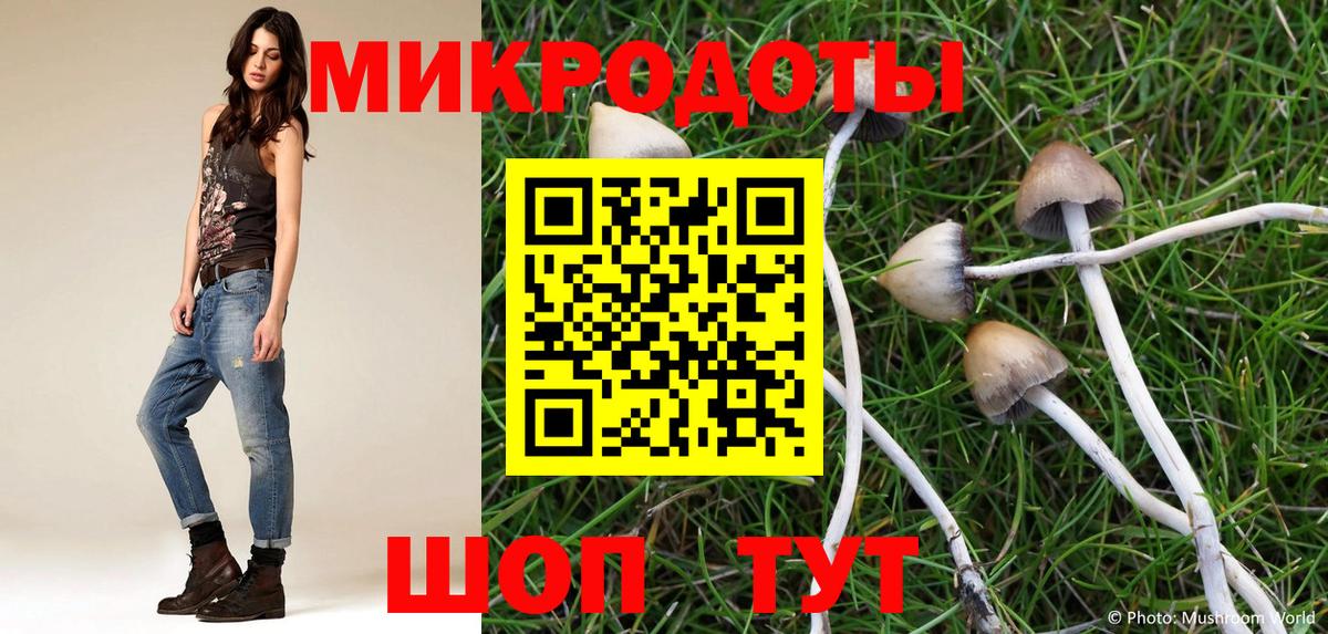 Галлюциногенные грибы прущие грибы  Галлюциногенные грибы прущие грибы  Вязьма  Вход с VPN 