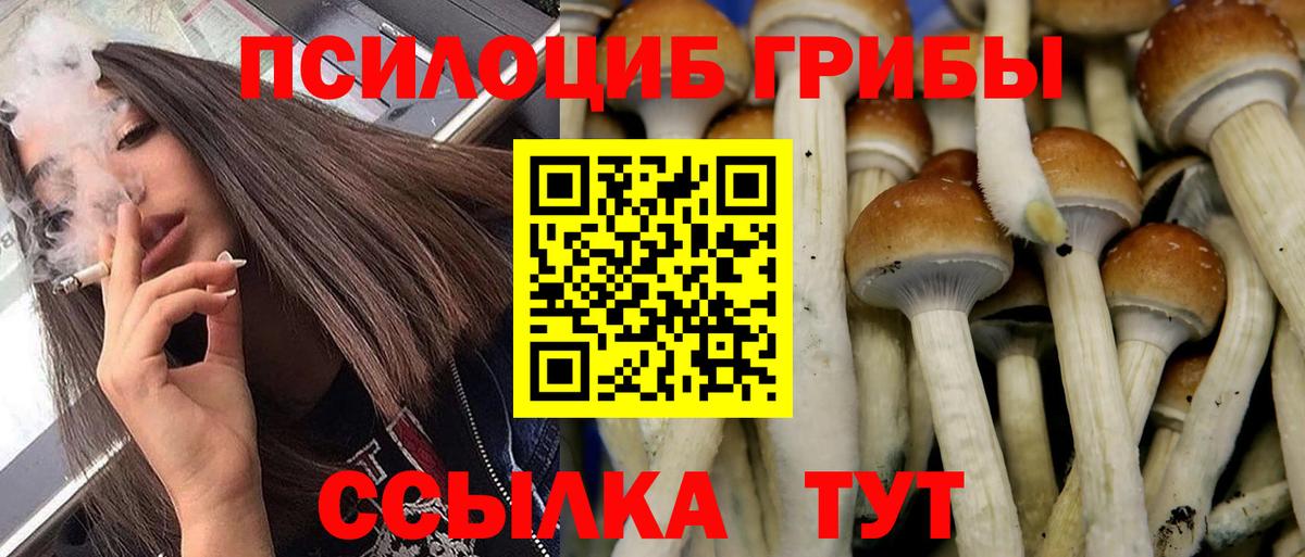 Галлюциногенные грибы Cubensis Вязьма